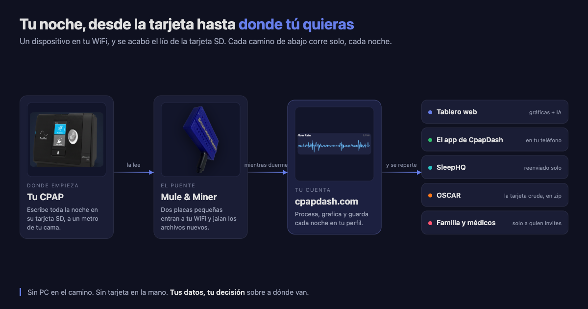 Hola CpapDash Cloud: donde la IA se junta con la comodidad y la privacidad de tus propios datos