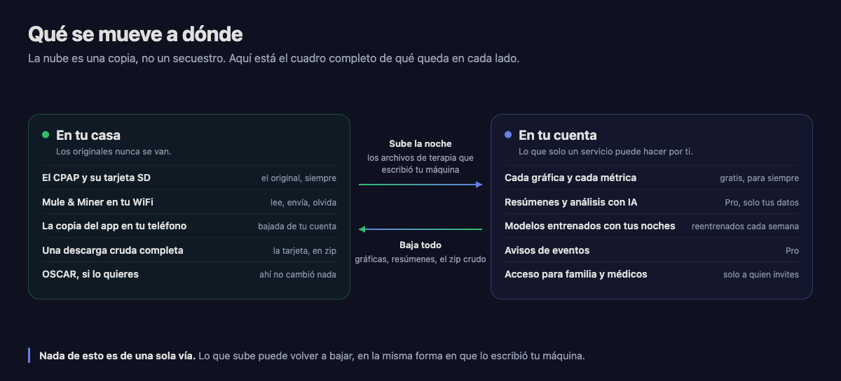 Qué se mueve a dónde: el CPAP, el puente, la copia del app en tu teléfono y la descarga cruda viven en tu casa, mientras las gráficas, los resúmenes con IA, los modelos reentrenados cada semana, los avisos y el acceso por invitación viven en tu cuenta